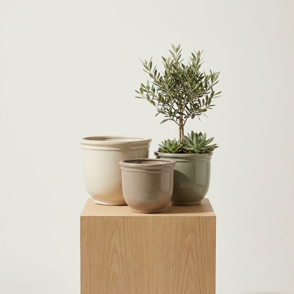 Обустройство сада