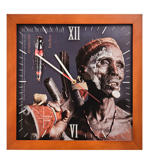 SLT-193 Часы настенные "Biwa Bermo"