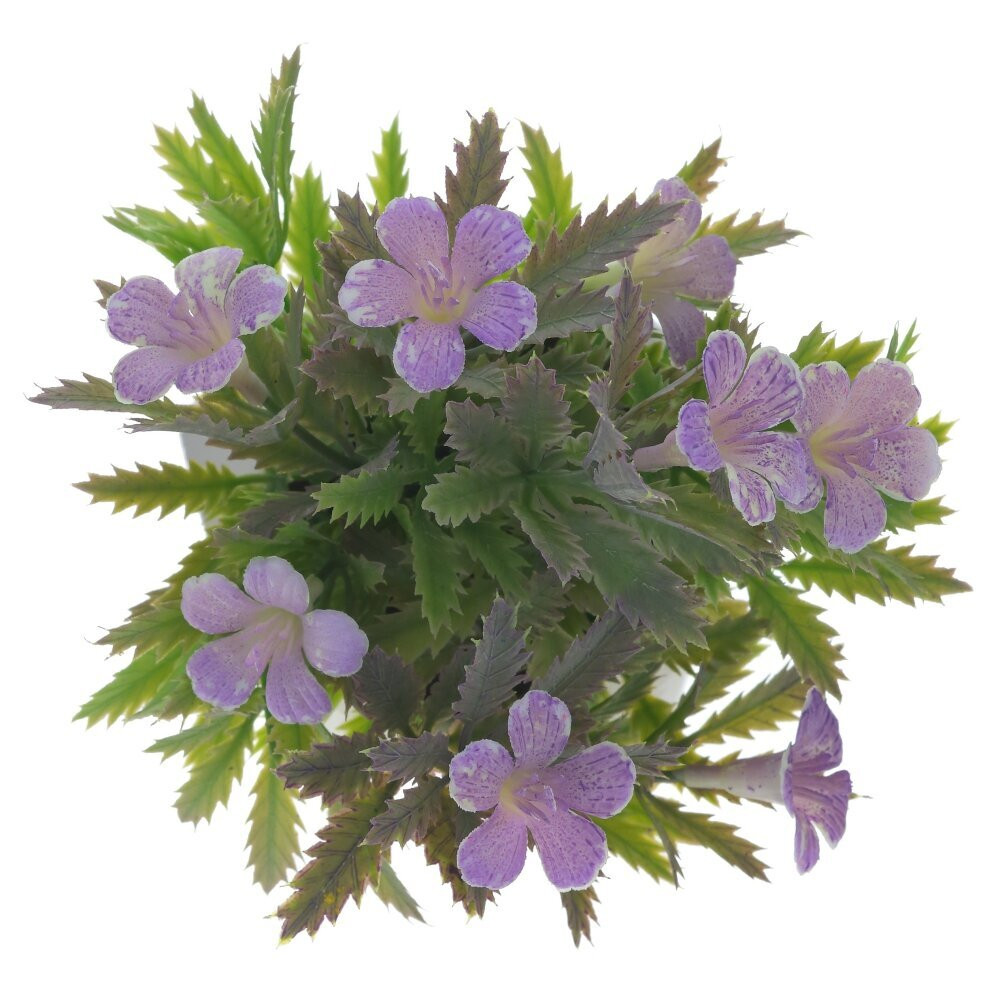 Цветочная композиция, L10 W10 H17 см