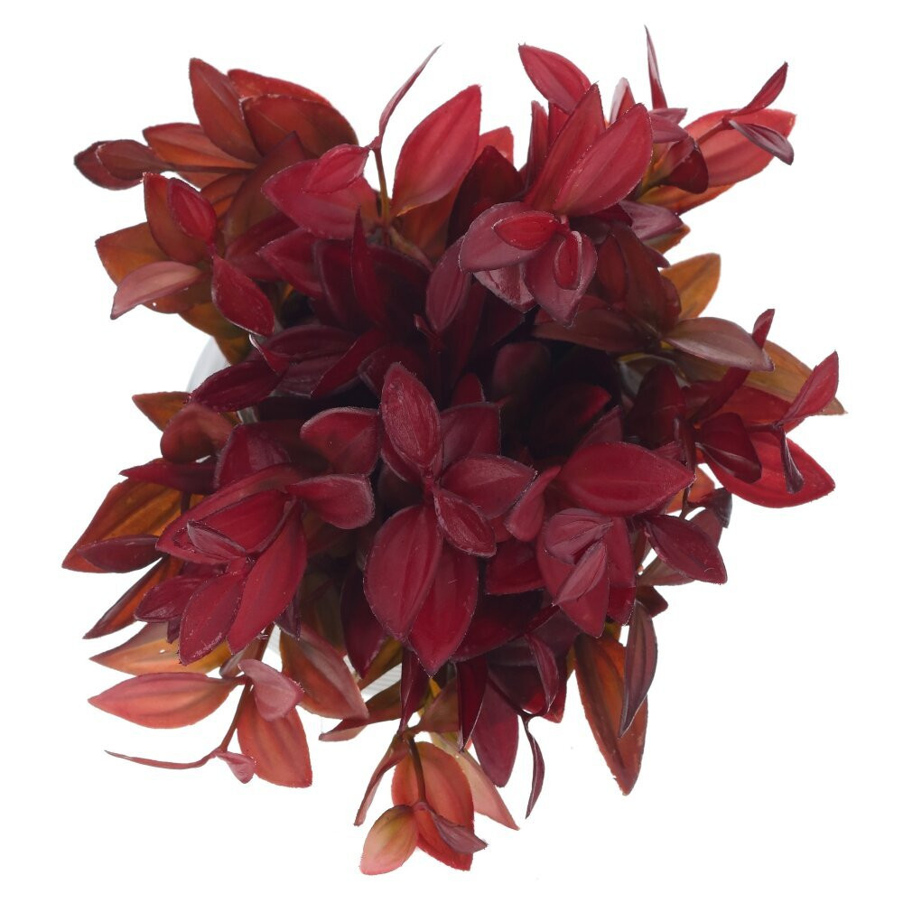 Цветочная композиция, L12 W12 H20 см