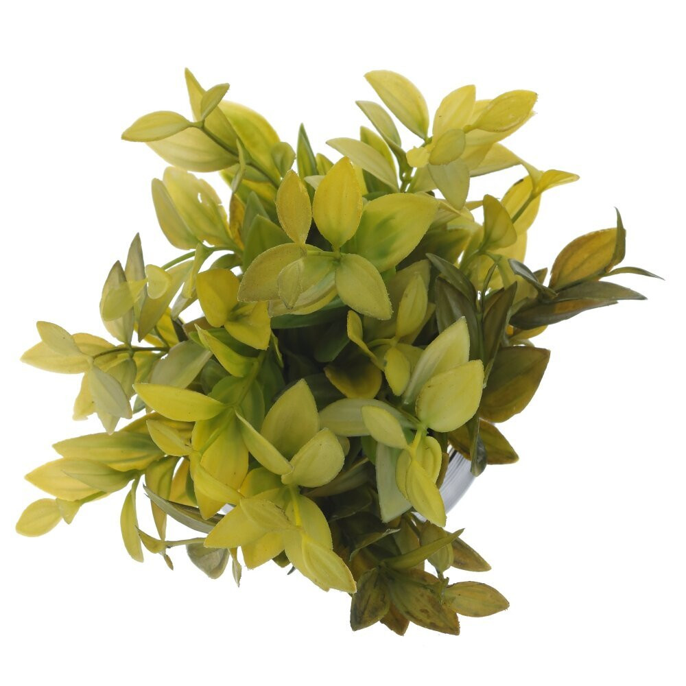 Цветочная композиция, L12 W12 H20 см