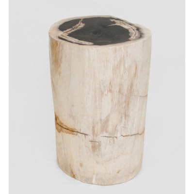 Камень древесный "Гостья из прошлого"