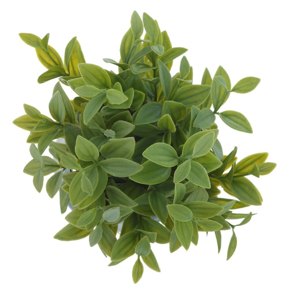 Цветочная композиция, L12 W12 H20 см