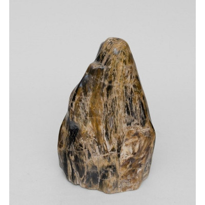 Камень древесный "Эпоха динозавров"