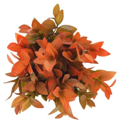 Цветочная композиция, L12 W12 H20 см