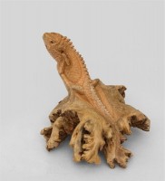 Статуэтка деревянная "Игуана в ожидании"                     