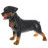 Декоративная садовая фигурка "Маленький ротвейлер"          