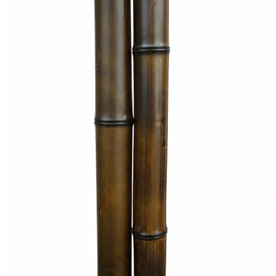 Бамбук ствол 2,8 м