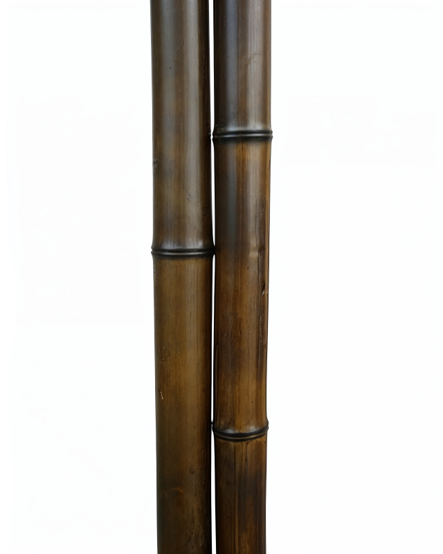 Бамбук ствол 2,8 м