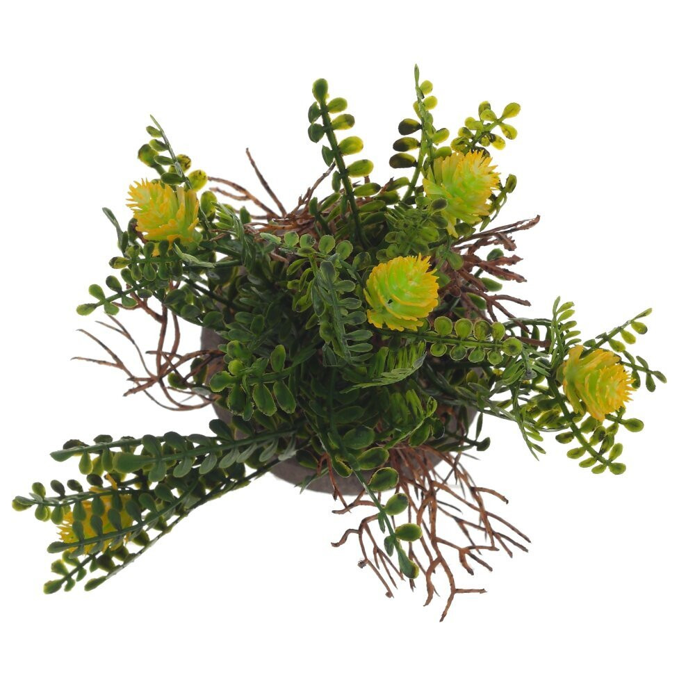 Цветочная композиция, L9 W9 H18 см