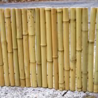 Бамбуковый забор 