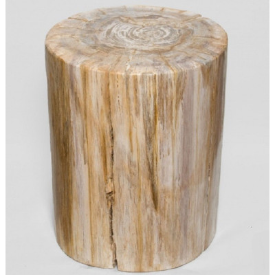 Камень древесный "Победивший стихии"