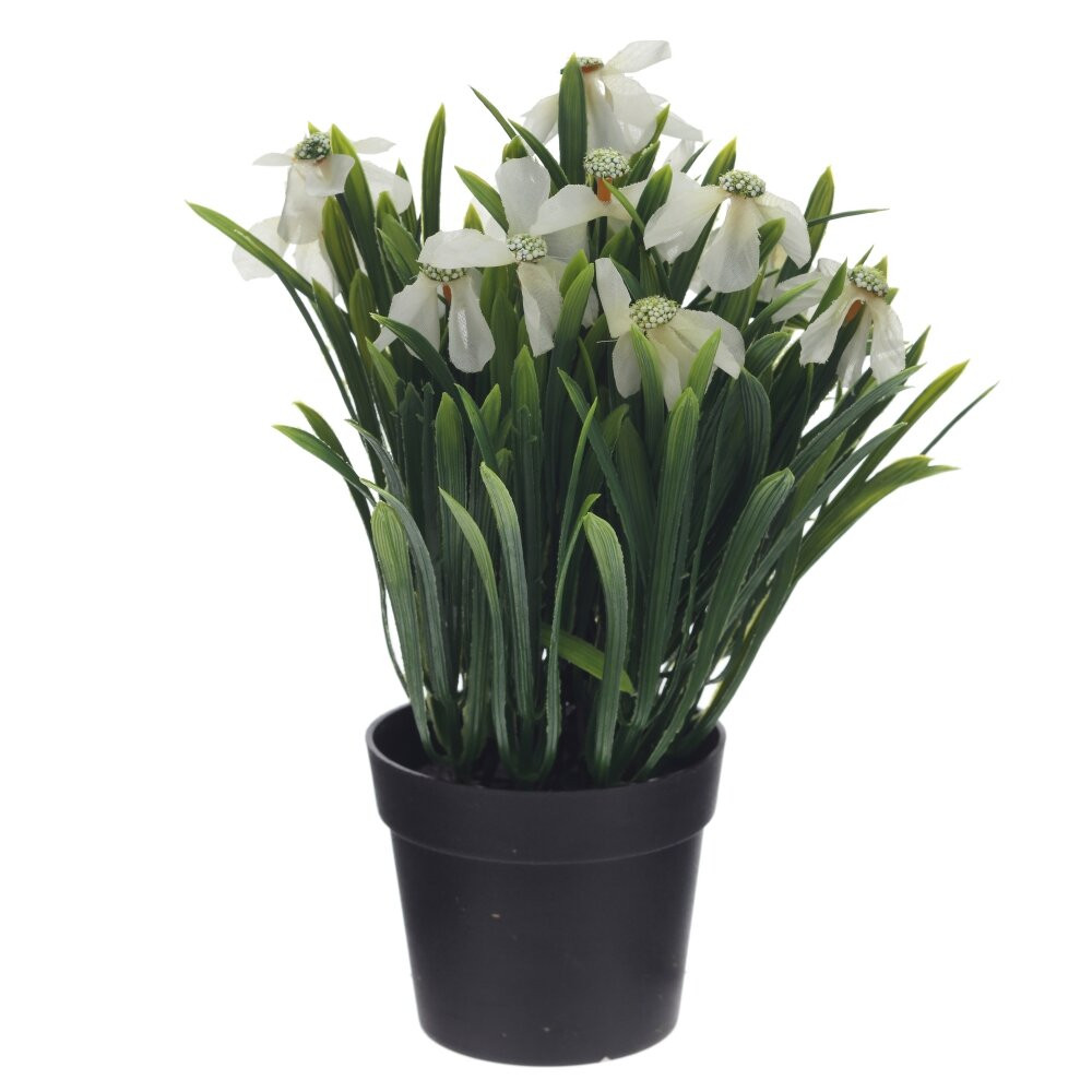 Цветочная композиция, L16 W10 H25 см