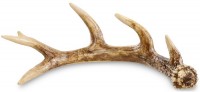 Подставка под бутылку "Antler"