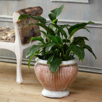 Садовый вазон "Аврелия"  