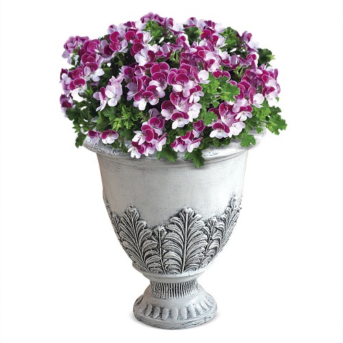 Садовый вазон "Клеменс" Садовый вазон "Клеменс"