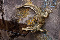 Полка для ванной комнаты "Крокодилы"