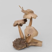 Статуэтка "Улитка на грибочке"                          