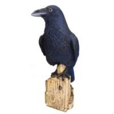 Декоративная садовая фигурка "Гордый ворон"       