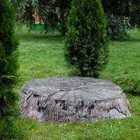 Декоративная крышка для люка "Еловый пень"       