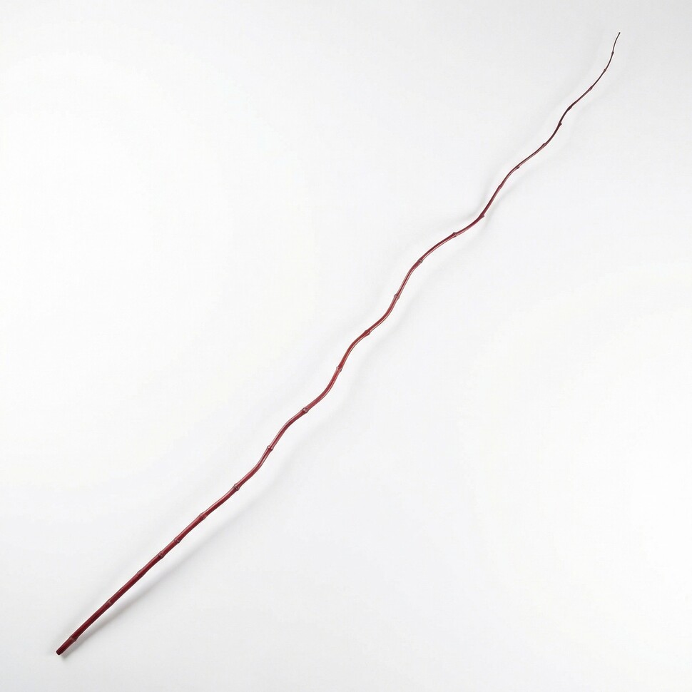 В6-0018 Ветка БАМБУК бордовый 200 см (мин.10 шт.) В6-0018 Ветка БАМБУК бордовый 200 см (мин.10 шт.)