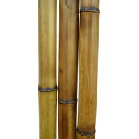 Бамбук светлый обжиг 1 метр