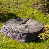 Декоративная крышка для люка "Платановый пень"