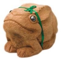 Чай в кокосе "Лягушка" зеленый