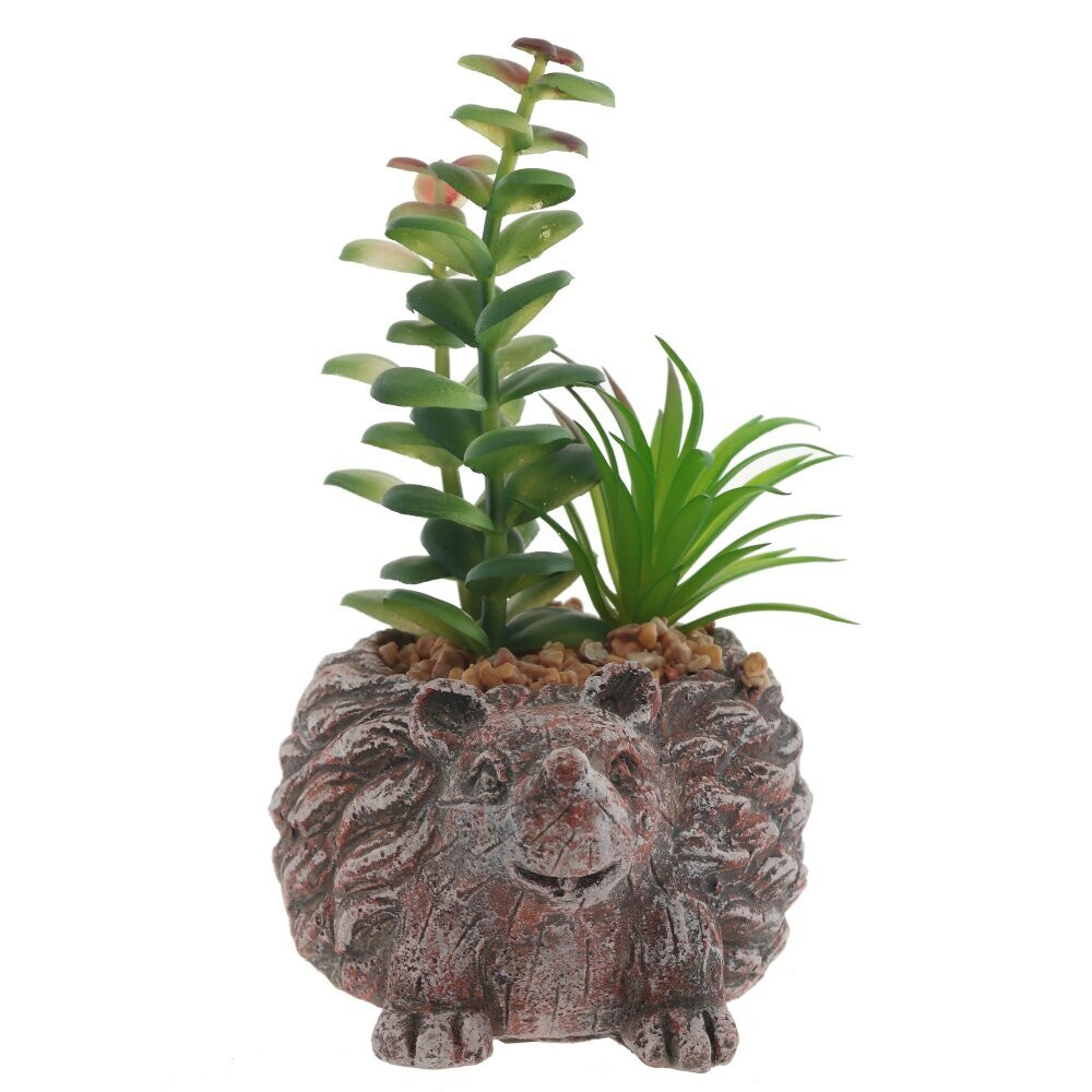 Цветочная композиция "Суккулент", L14 W12 H12 см,