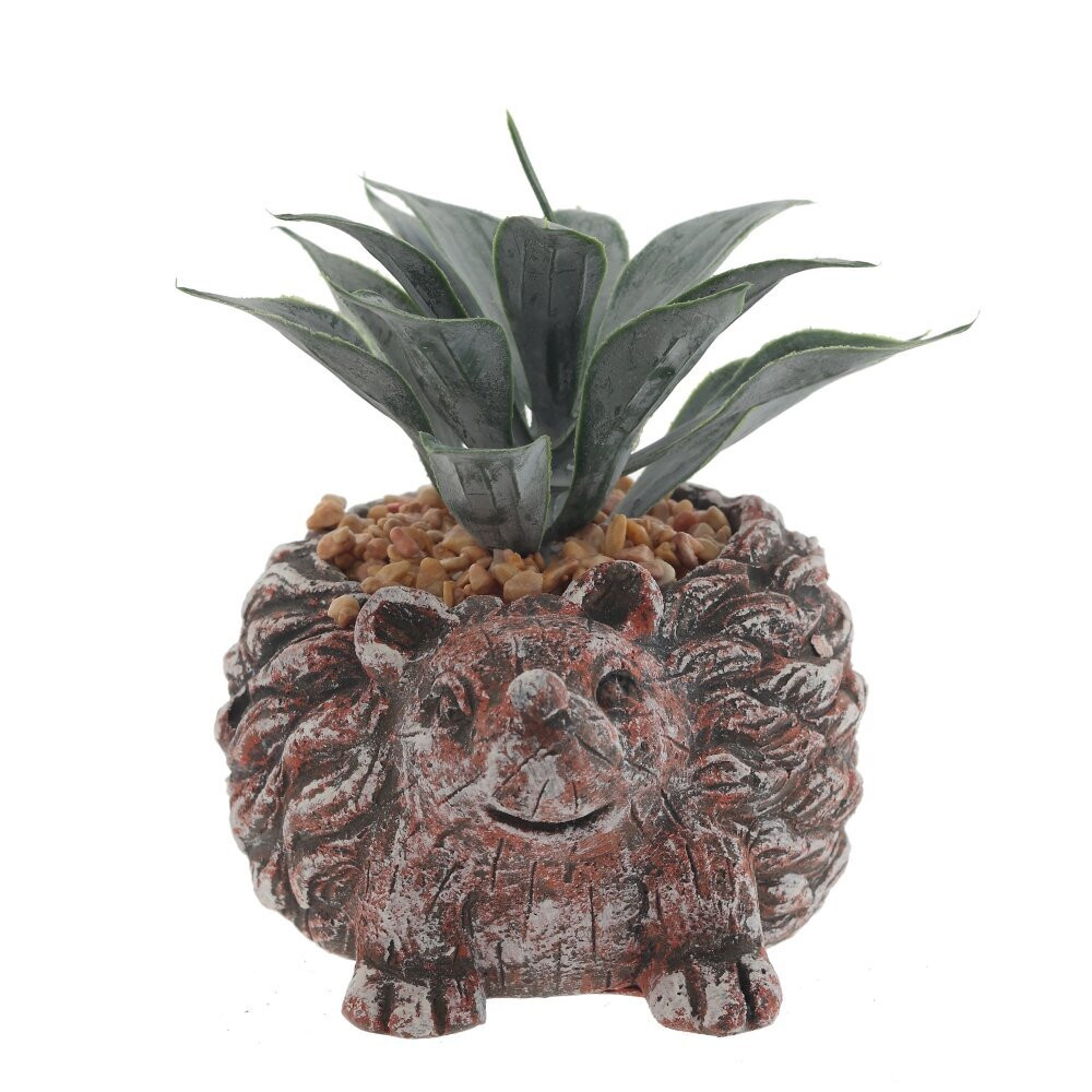 Цветочная композиция "Суккулент", L14 W12 H12 см,