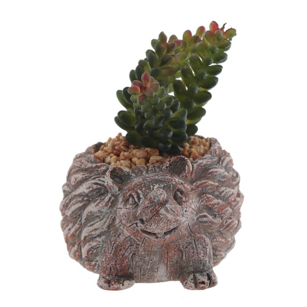 Цветочная композиция "Суккулент", L14 W12 H12 см,