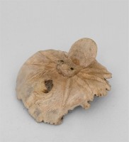 Статуэтка "Паук на бревнышке"                         