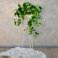 Подставка для цветов "Green life"       