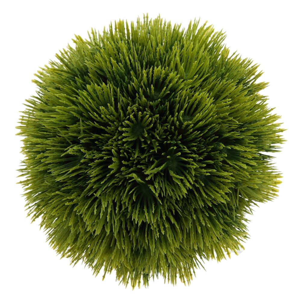 Цветочная композиция, L15 W15 H13 см