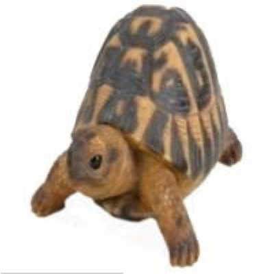 Декоративная садовая фигурка "Строгая черепашка"                    