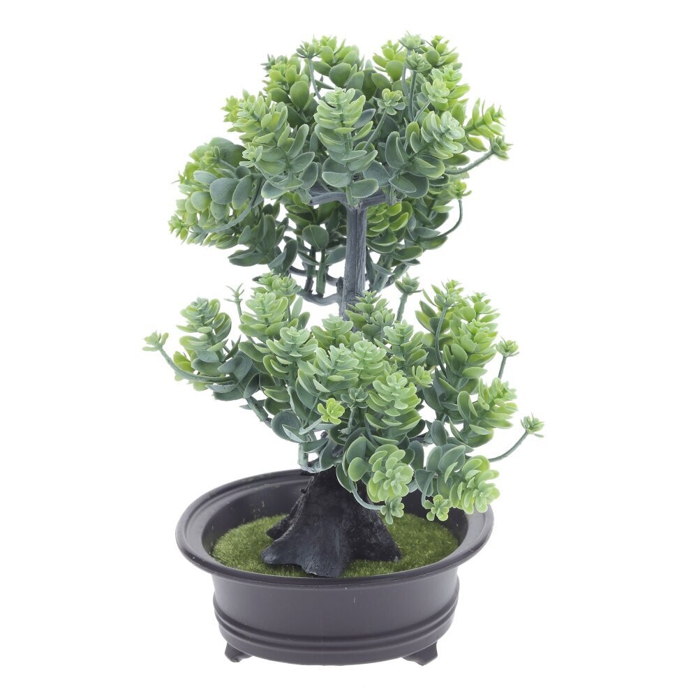 Цветочная композиция "Бонсай", L24 W14 H26 см