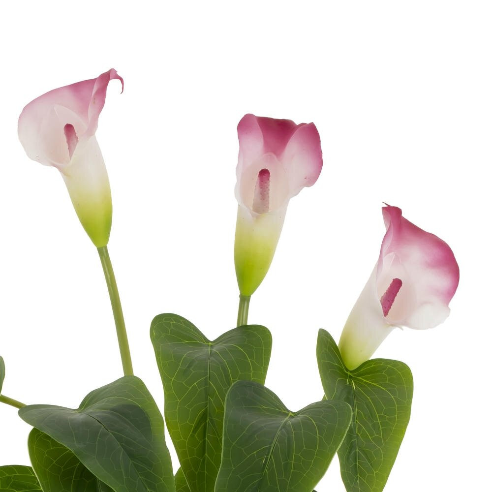 Цветок искусственный, L W H43 см