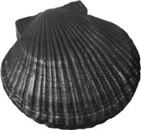 Камень для банной печи "Средиземноморская ракушка"     