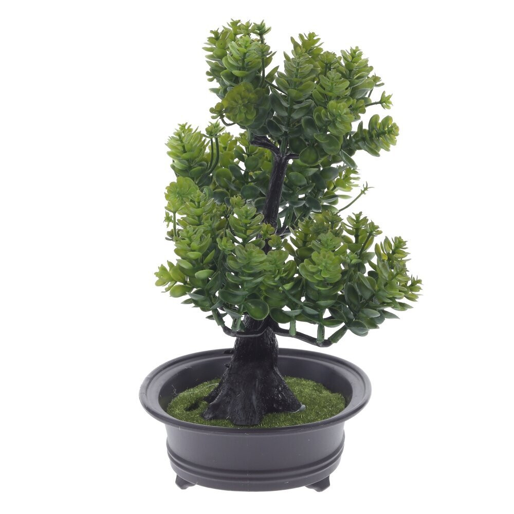 Цветочная композиция "Бонсай", L24 W14 H26 см