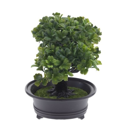 Цветочная композиция "Бонсай", L32 W13 H19 см