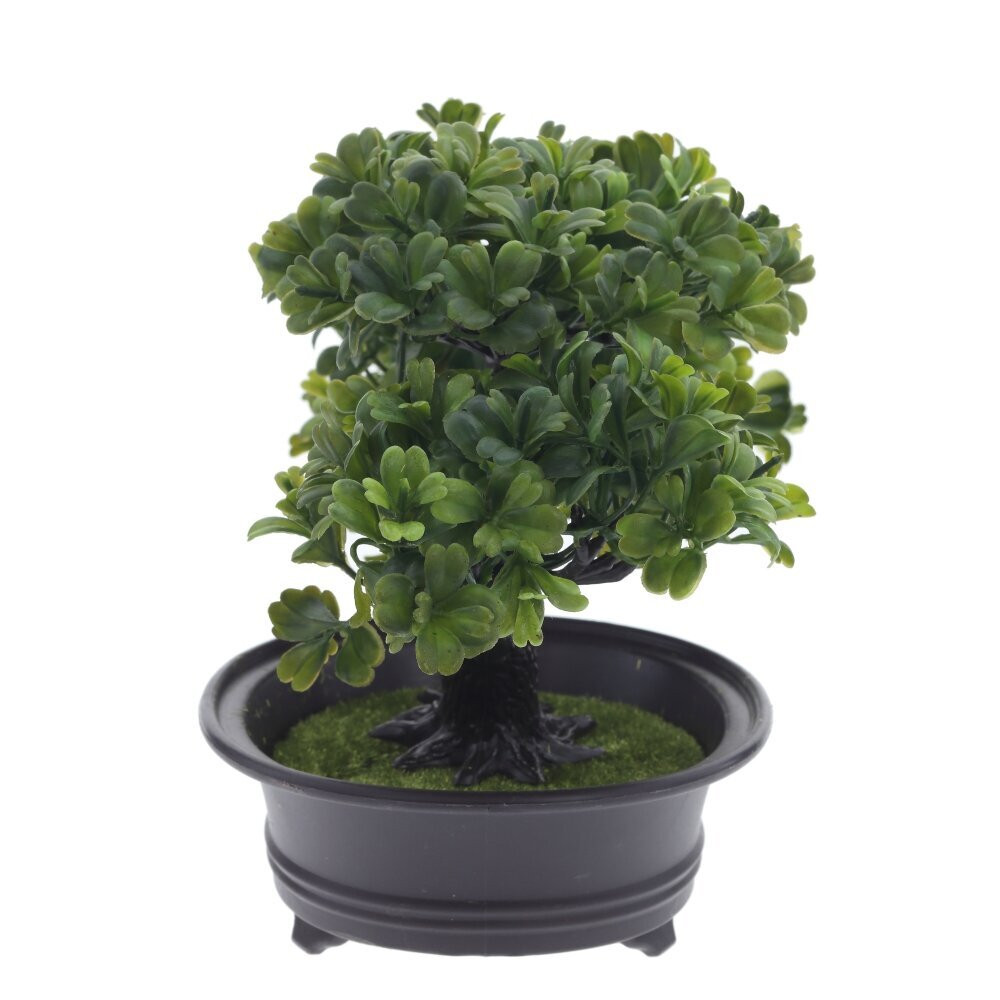 Цветочная композиция "Бонсай", L32 W13 H19 см