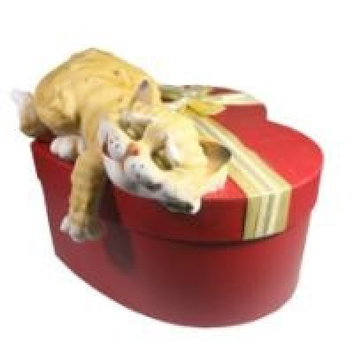 Декоративная садовая фигурка "Кот на подарочной коробке"   