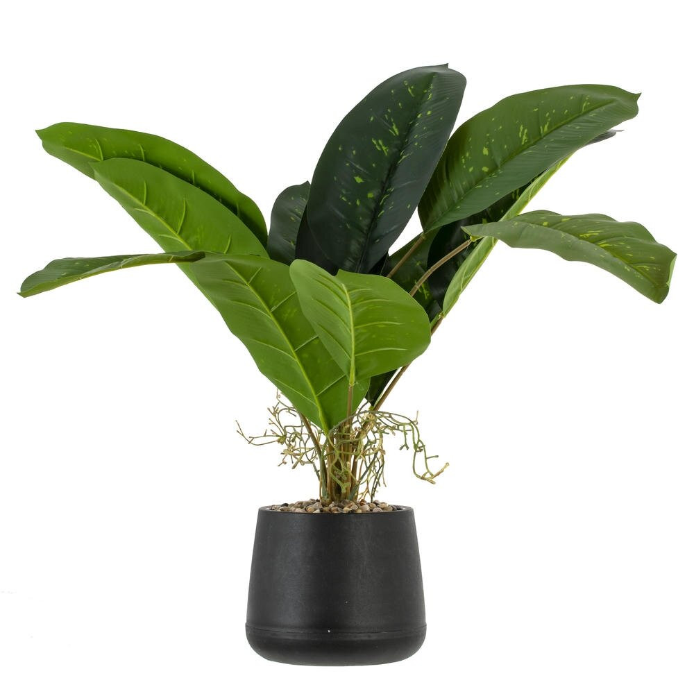 Цветочная композиция "Фикус", L54 W54 H50 см