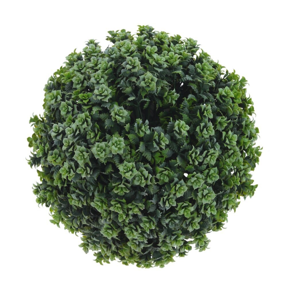 Цветочная композиция "Самшит", L19 W19 H27 см