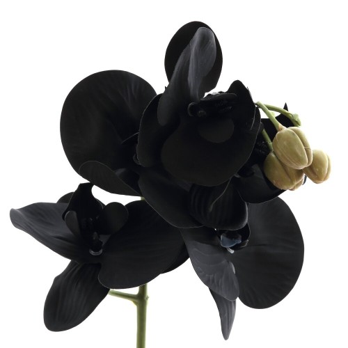 Цветочная композиция, L W H45 см