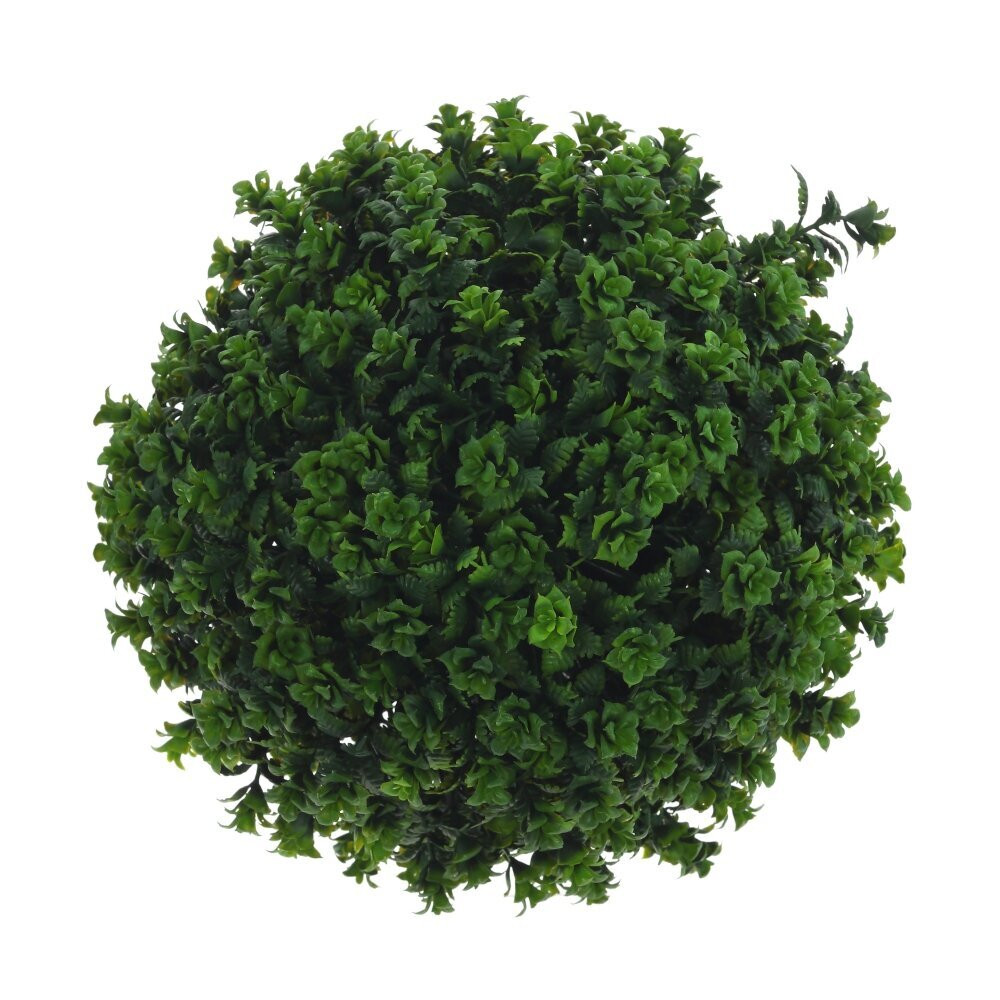 Цветочная композиция "Самшит", L19 W19 H27 см