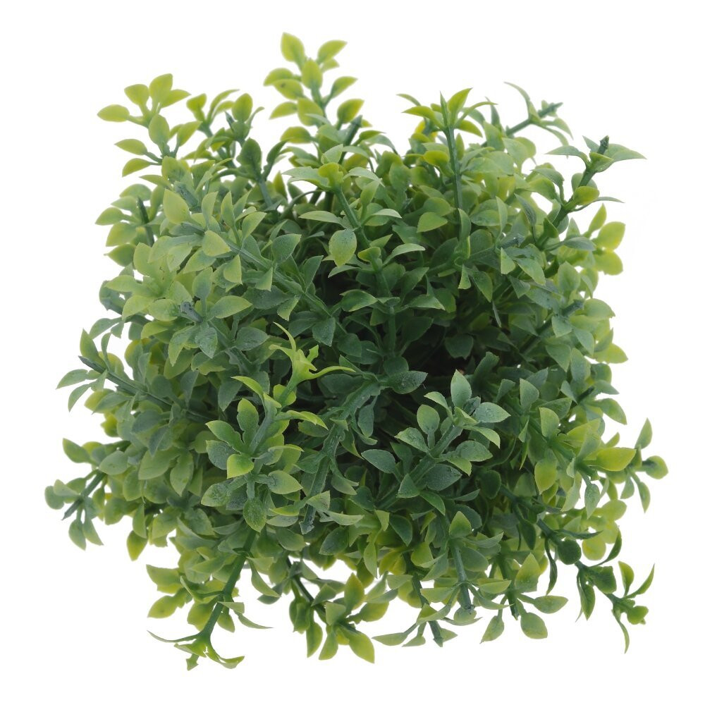 Цветочная композиция, L11 W11 H16 см