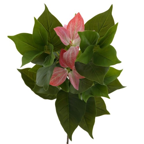 Цветок искусственный "Муссенда", L26 W24 H88 см