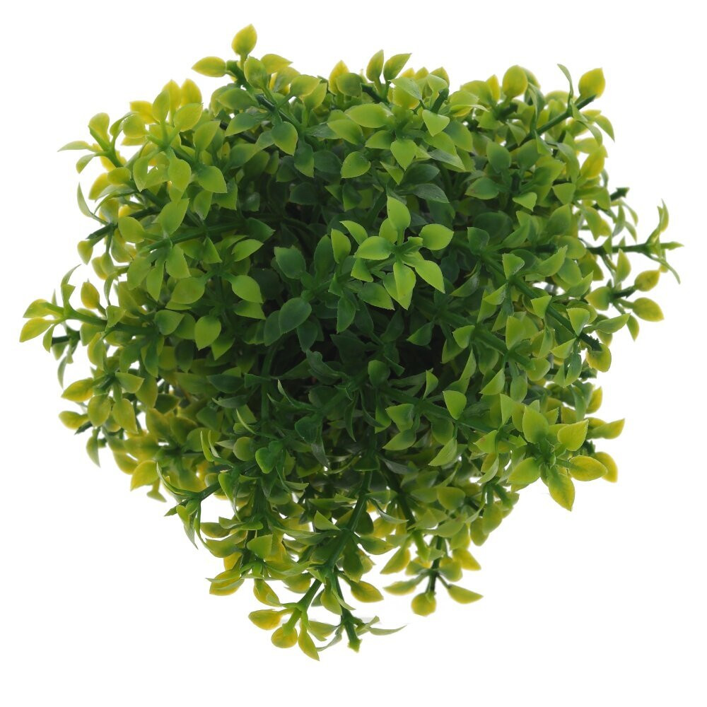 Цветочная композиция, L11 W11 H16 см