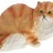 Декоративная фигурка "Персидский кот лежит" 